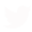 twitter-logo